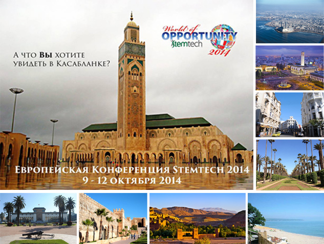 Незабываемый праздник в Марокко! А что Вы хотите увидеть в Касабланке?